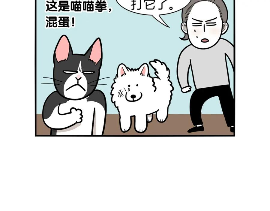 《我的狗子叫棉花》第27话 猫犬不宁？ 第63页