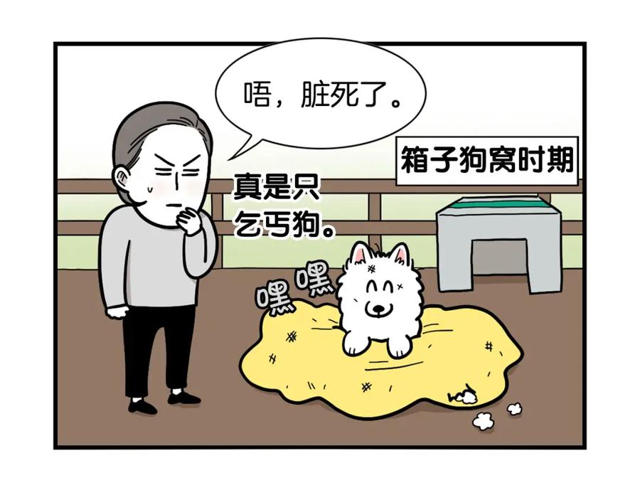 《我的狗子叫棉花》第27话 猫犬不宁？ 第8页