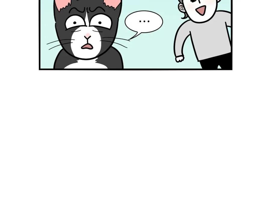 《我的狗子叫棉花》第27话 猫犬不宁？ 第54页
