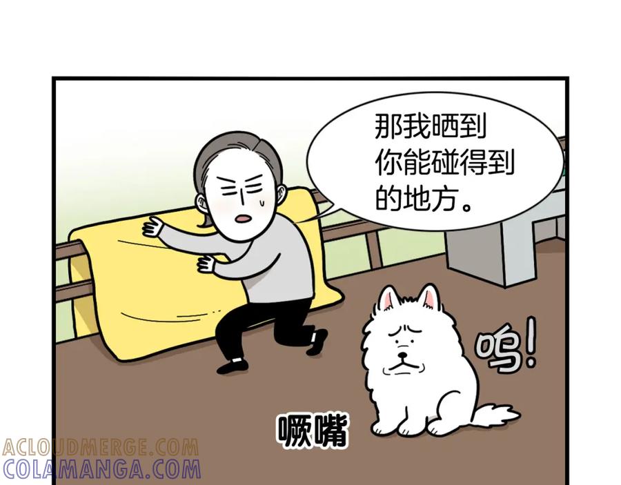 《我的狗子叫棉花》第27话 猫犬不宁？ 第22页