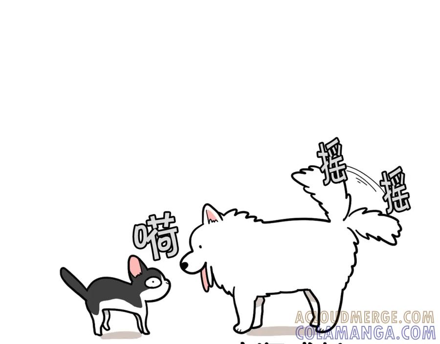 《我的狗子叫棉花》第27话 猫犬不宁？ 第73页