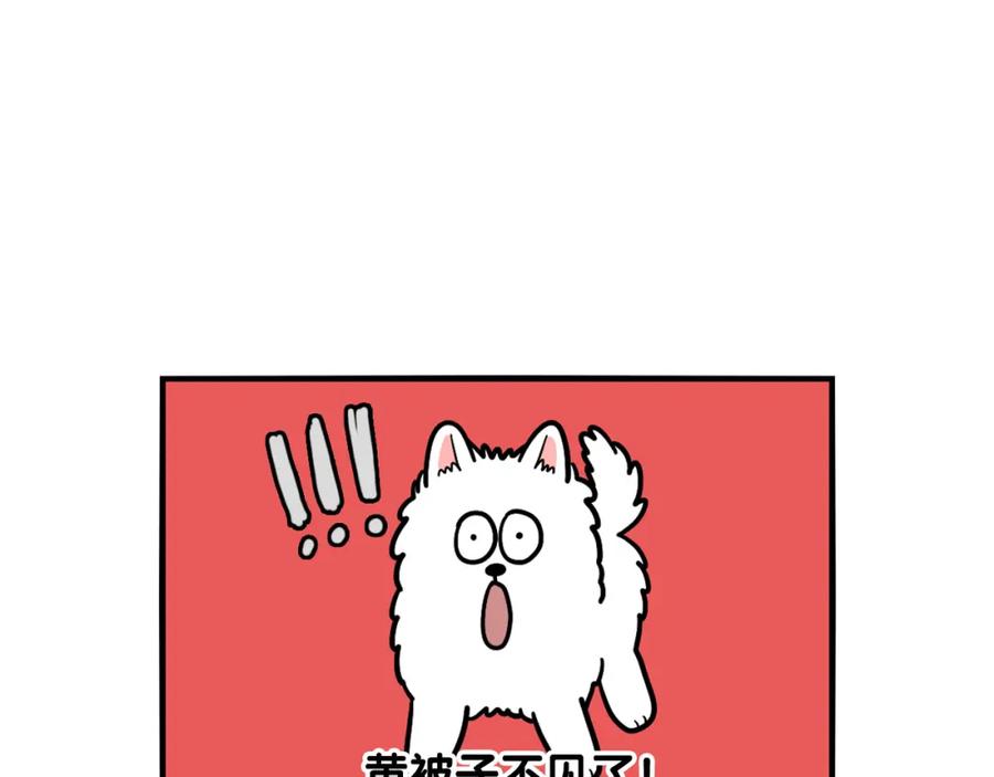 《我的狗子叫棉花》第27话 猫犬不宁？ 第18页
