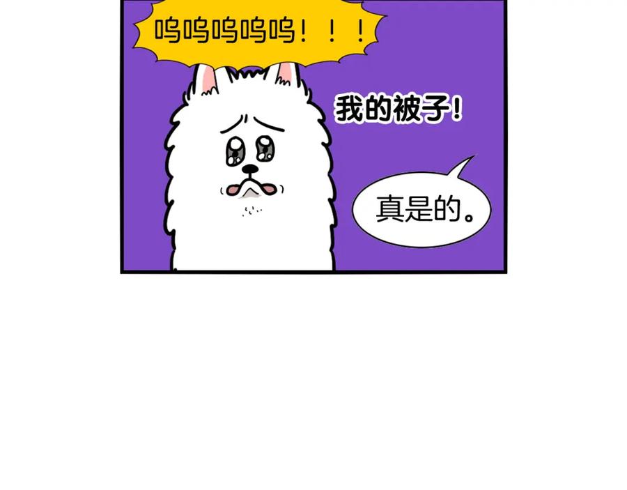 《我的狗子叫棉花》第27话 猫犬不宁？ 第21页