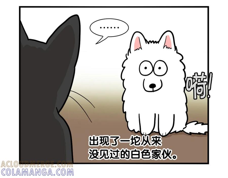 《我的狗子叫棉花》第27话 猫犬不宁？ 第55页