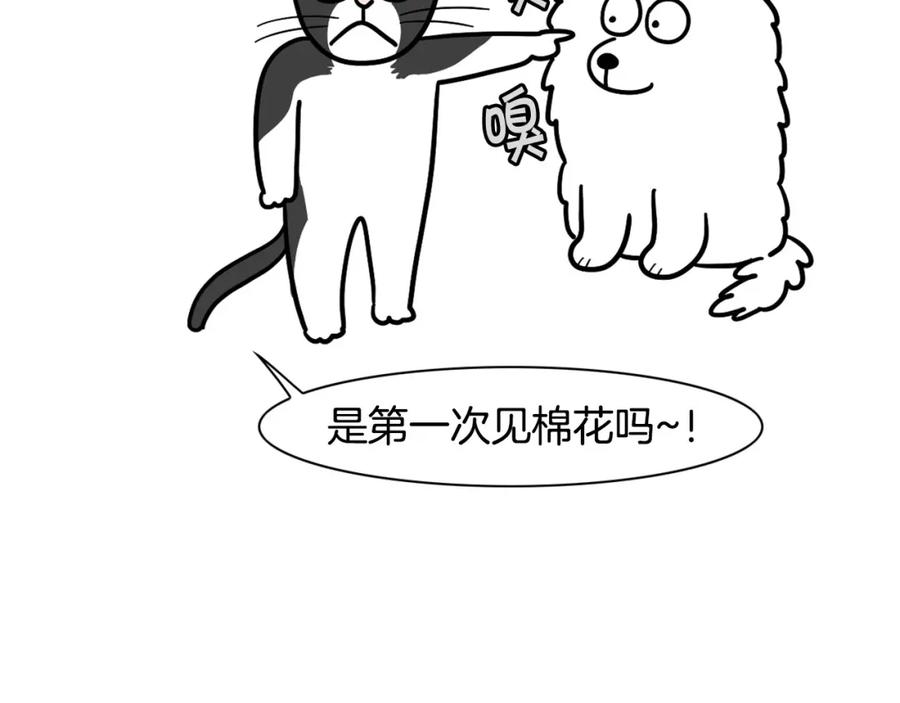 《我的狗子叫棉花》第27话 猫犬不宁？ 第57页