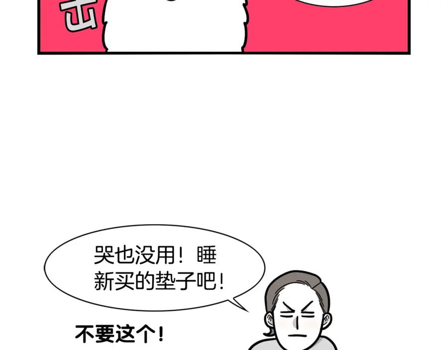 《我的狗子叫棉花》第27话 猫犬不宁？ 第32页