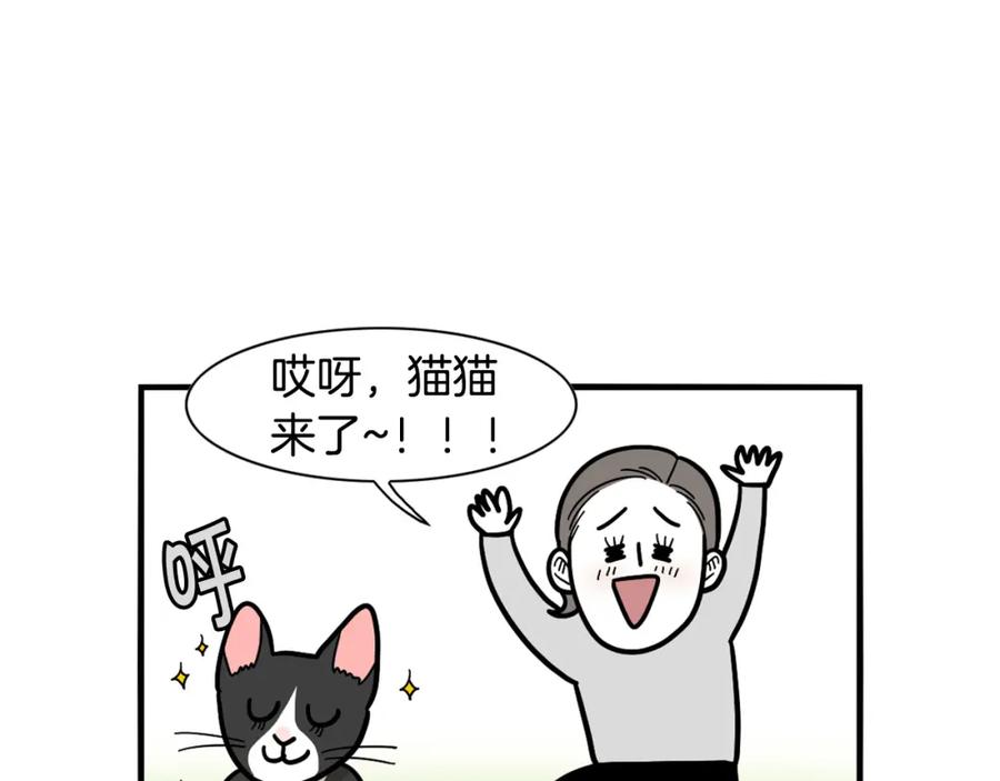 《我的狗子叫棉花》第27话 猫犬不宁？ 第47页
