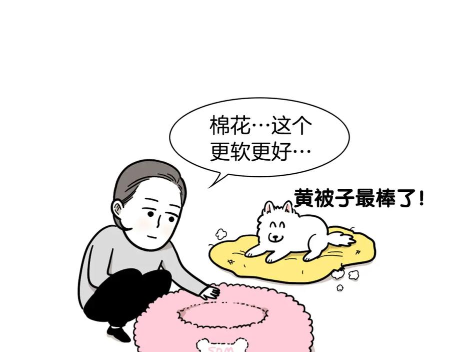 《我的狗子叫棉花》第27话 猫犬不宁？ 第12页