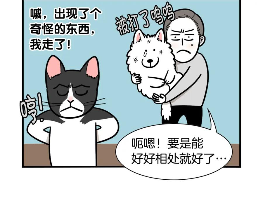 《我的狗子叫棉花》第27话 猫犬不宁？ 第68页