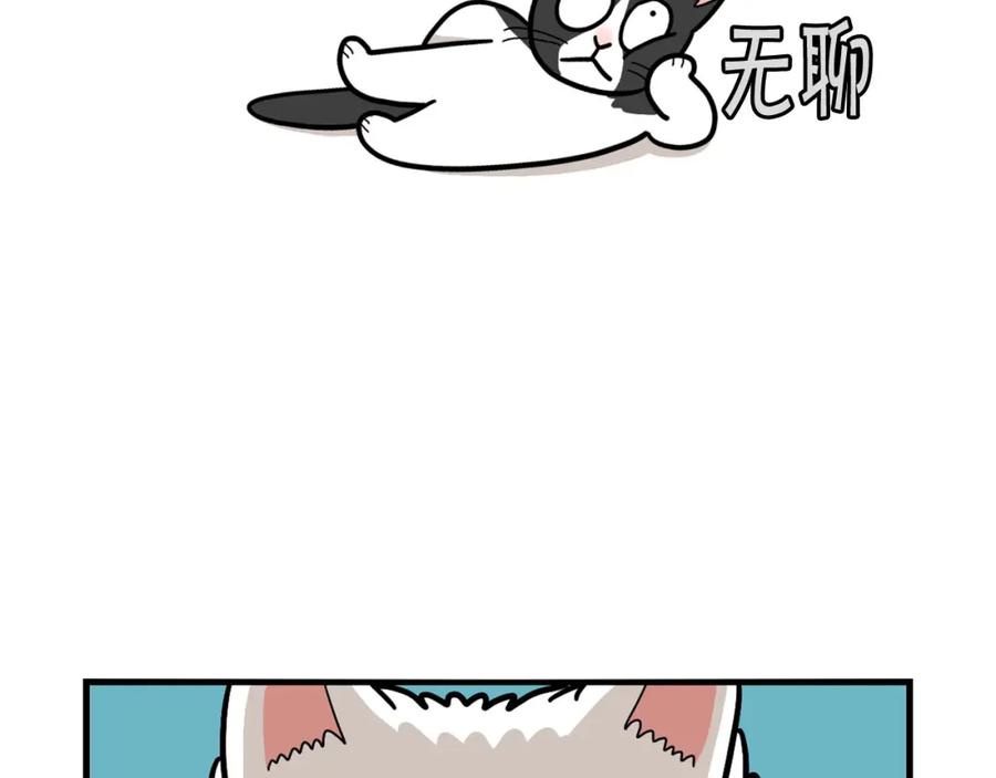 《我的狗子叫棉花》第27话 猫犬不宁？ 第71页