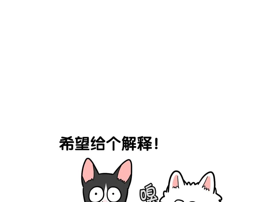 《我的狗子叫棉花》第27话 猫犬不宁？ 第56页