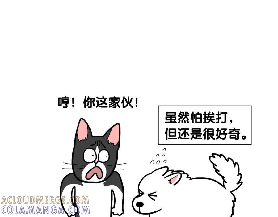 《我的狗子叫棉花》第27话 猫犬不宁？ 第64页