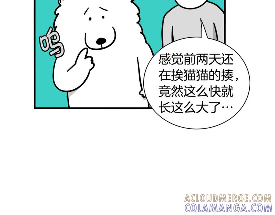 《我的狗子叫棉花》第27话 猫犬不宁？ 第88页