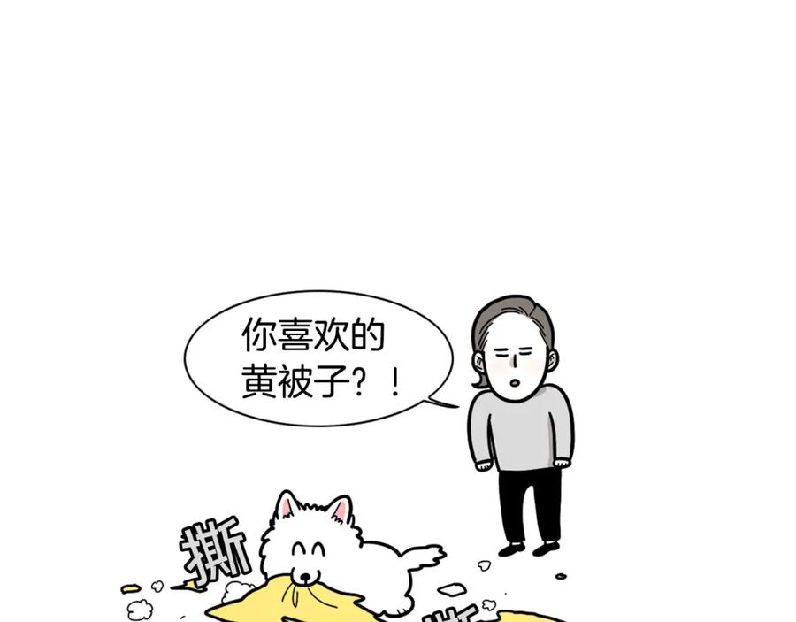 《我的狗子叫棉花》第27话 猫犬不宁？ 第27页