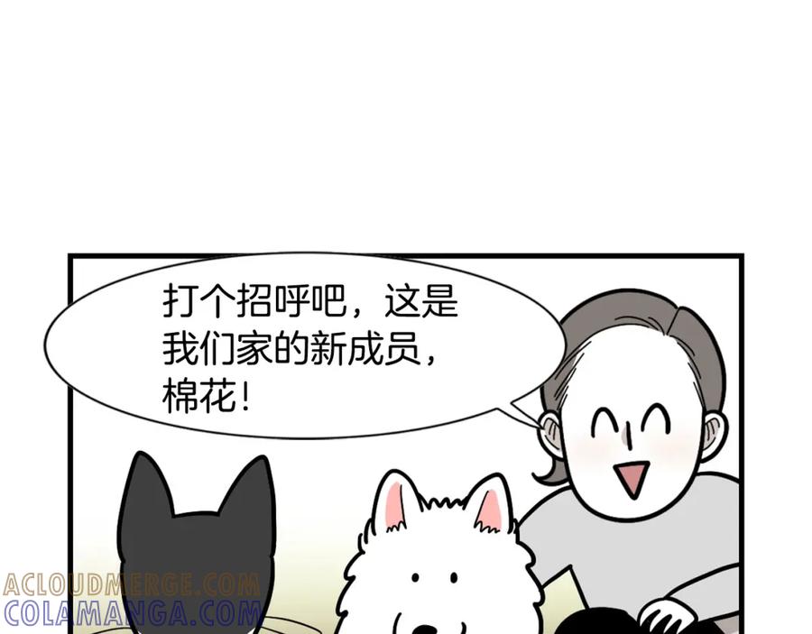 《我的狗子叫棉花》第27话 猫犬不宁？ 第58页