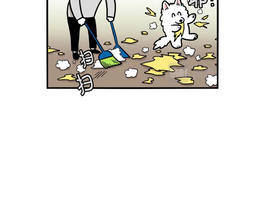 《我的狗子叫棉花》第27话 猫犬不宁？ 第29页