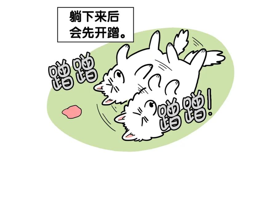 《我的狗子叫棉花》第28话 不牵狗绳的后果 第94页