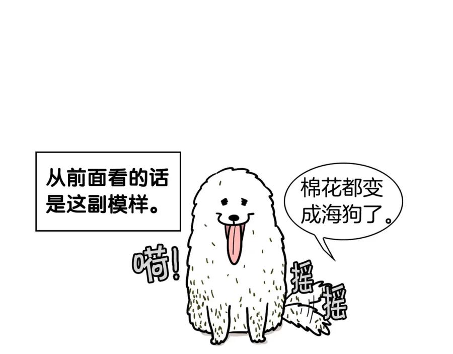 《我的狗子叫棉花》第28话 不牵狗绳的后果 第80页