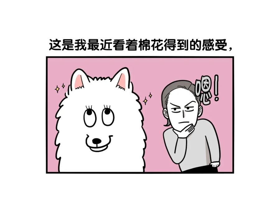 《我的狗子叫棉花》第28话 不牵狗绳的后果 第75页