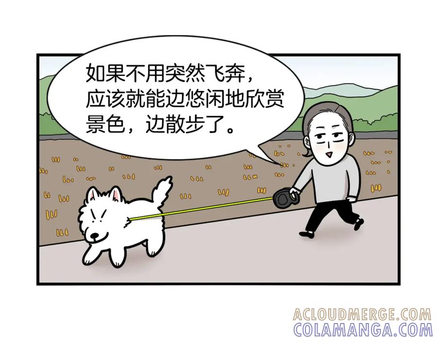 《我的狗子叫棉花》第28话 不牵狗绳的后果 第45页