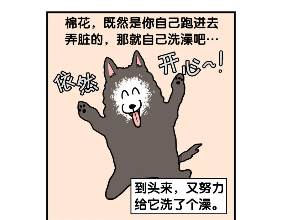 《我的狗子叫棉花》第28话 不牵狗绳的后果 第52页