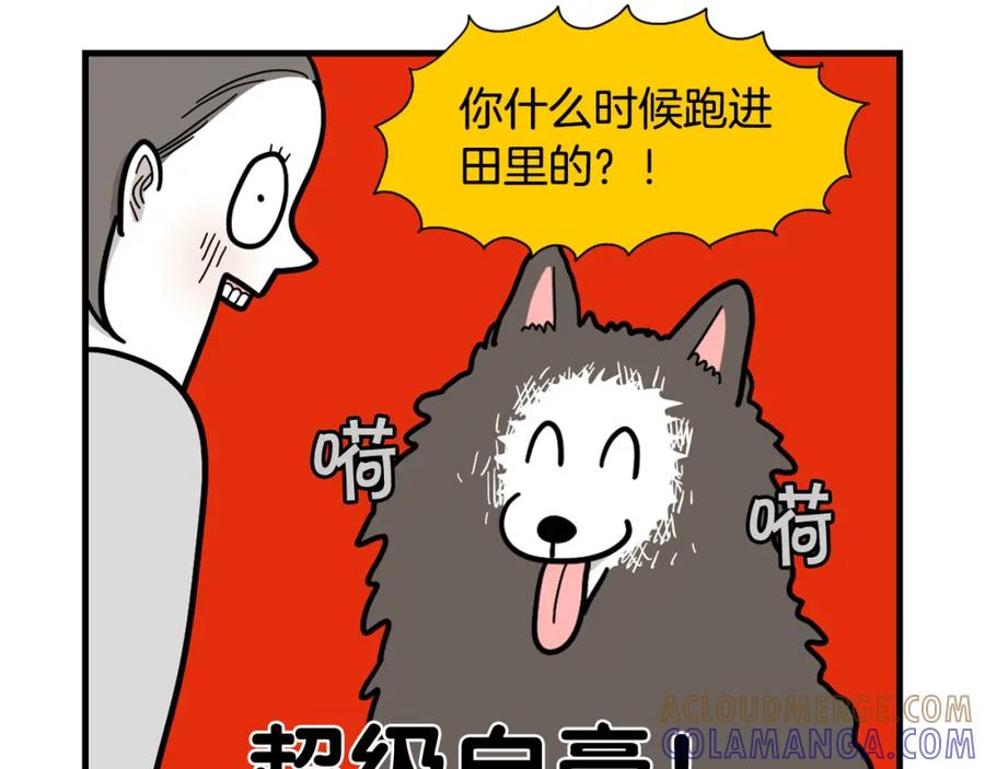 《我的狗子叫棉花》第28话 不牵狗绳的后果 第49页