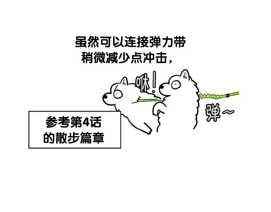 《我的狗子叫棉花》第28话 不牵狗绳的后果 第42页