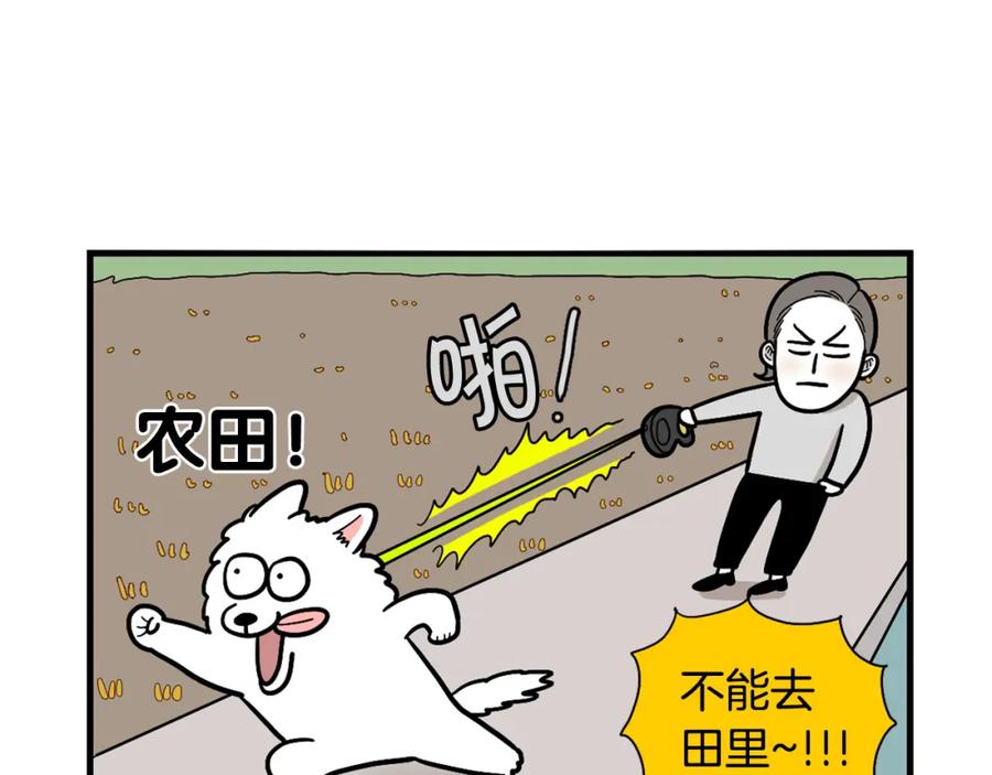 《我的狗子叫棉花》第28话 不牵狗绳的后果 第35页