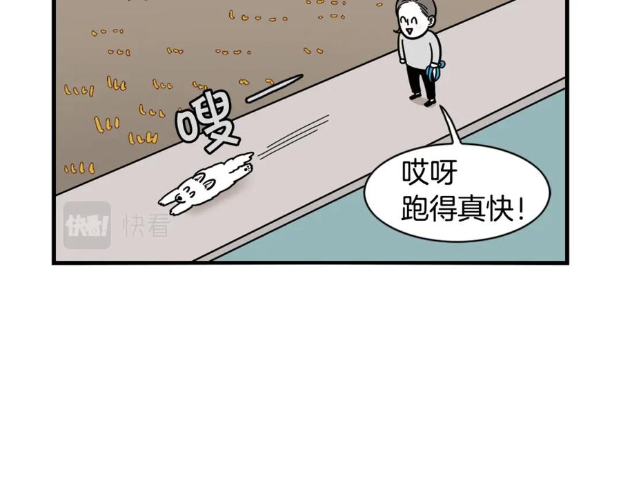 《我的狗子叫棉花》第28话 不牵狗绳的后果 第12页