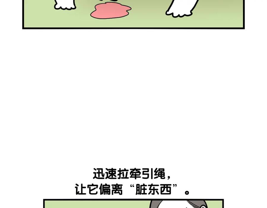 《我的狗子叫棉花》第28话 不牵狗绳的后果 第90页