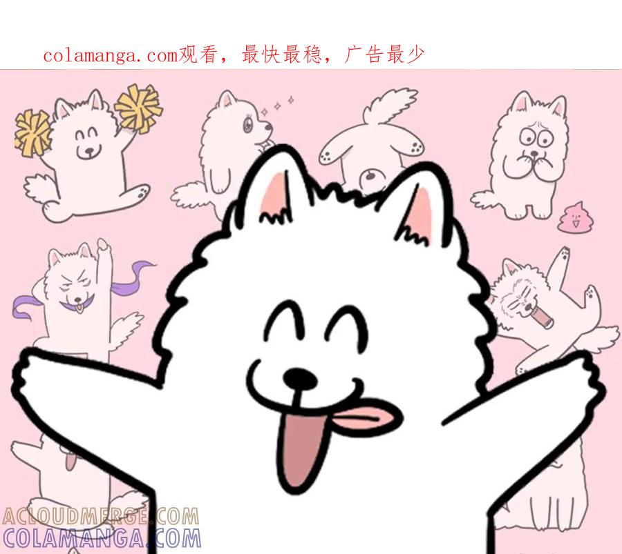 《我的狗子叫棉花》第28话 不牵狗绳的后果 第1页