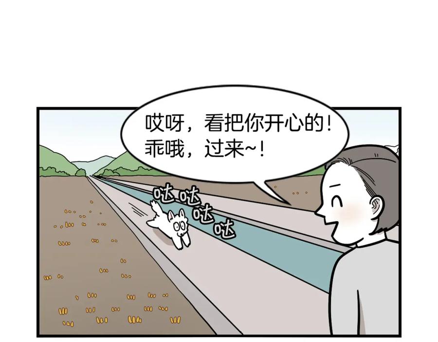 《我的狗子叫棉花》第28话 不牵狗绳的后果 第16页