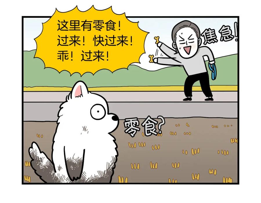 《我的狗子叫棉花》第28话 不牵狗绳的后果 第22页