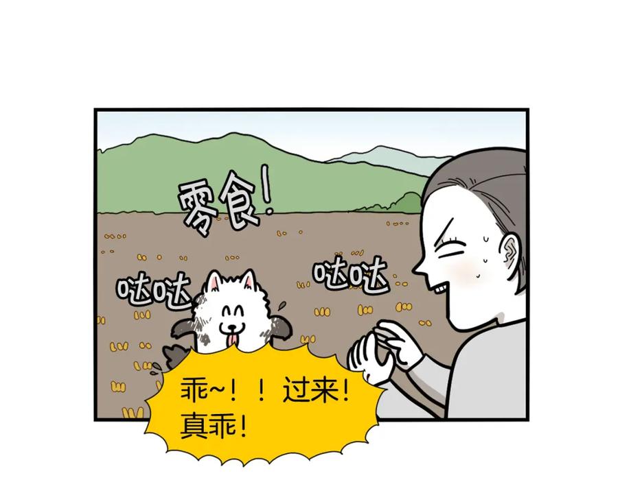 《我的狗子叫棉花》第28话 不牵狗绳的后果 第24页