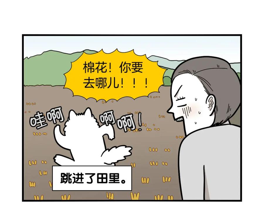《我的狗子叫棉花》第28话 不牵狗绳的后果 第19页