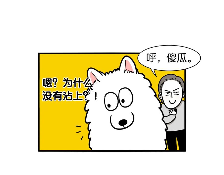 《我的狗子叫棉花》第28话 不牵狗绳的后果 第95页