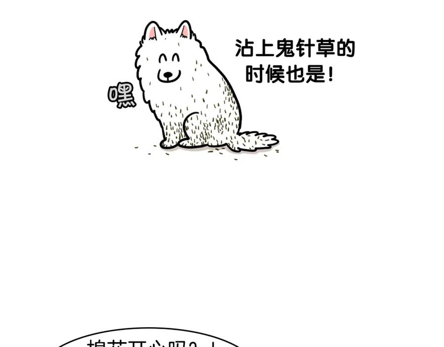 《我的狗子叫棉花》第28话 不牵狗绳的后果 第78页