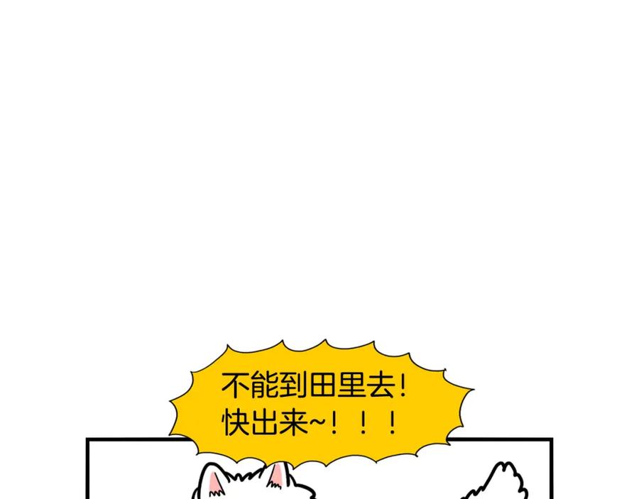 《我的狗子叫棉花》第28话 不牵狗绳的后果 第20页