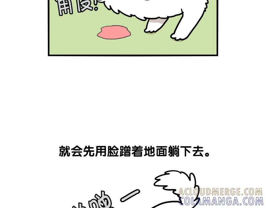《我的狗子叫棉花》第28话 不牵狗绳的后果 第85页