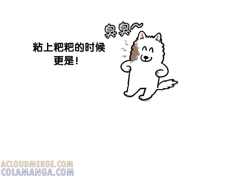 《我的狗子叫棉花》第28话 不牵狗绳的后果 第77页