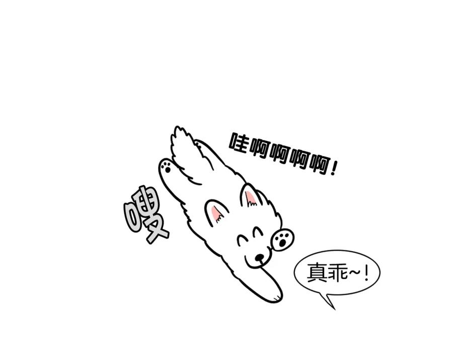 《我的狗子叫棉花》第28话 不牵狗绳的后果 第14页