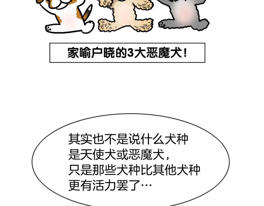 《我的狗子叫棉花》第29话 猴子期的狗很丑？ 第50页