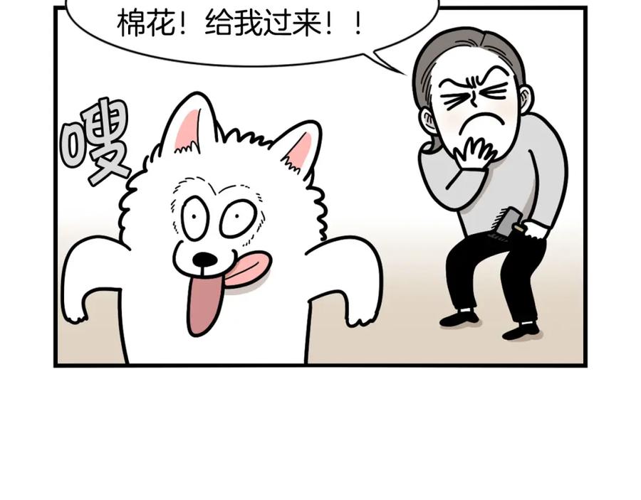 《我的狗子叫棉花》第29话 猴子期的狗很丑？ 第18页