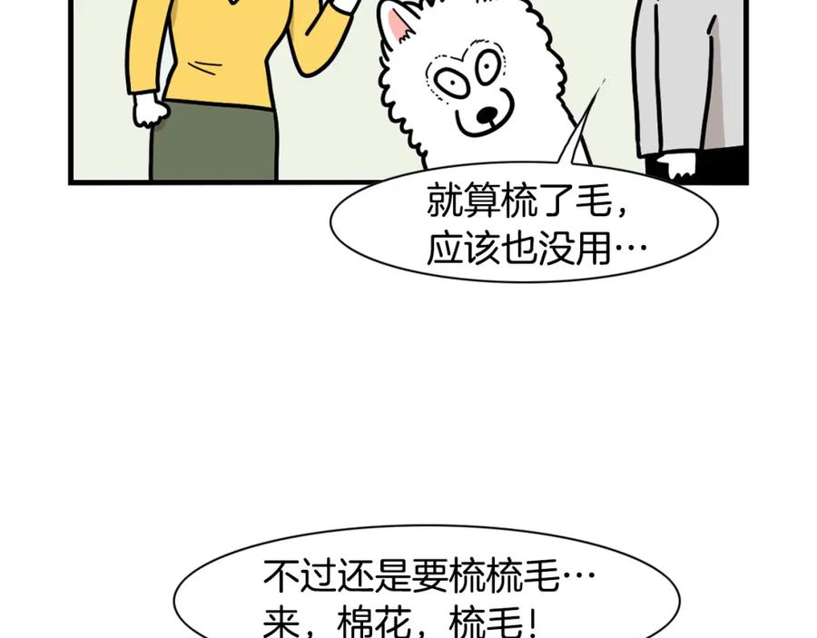 《我的狗子叫棉花》第29话 猴子期的狗很丑？ 第14页