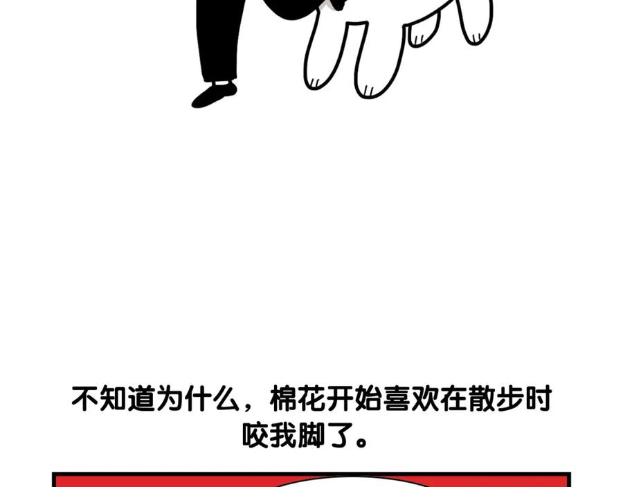 《我的狗子叫棉花》第29话 猴子期的狗很丑？ 第86页