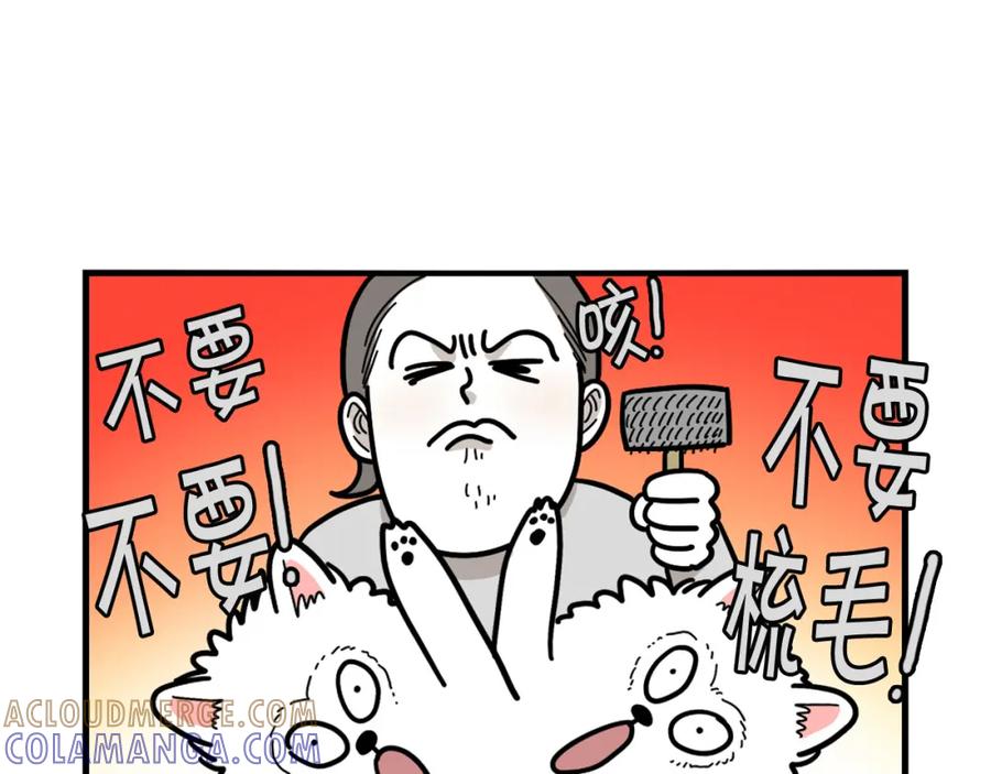 《我的狗子叫棉花》第29话 猴子期的狗很丑？ 第16页