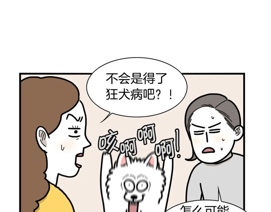 《我的狗子叫棉花》第29话 猴子期的狗很丑？ 第27页