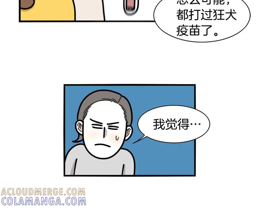 《我的狗子叫棉花》第29话 猴子期的狗很丑？ 第28页