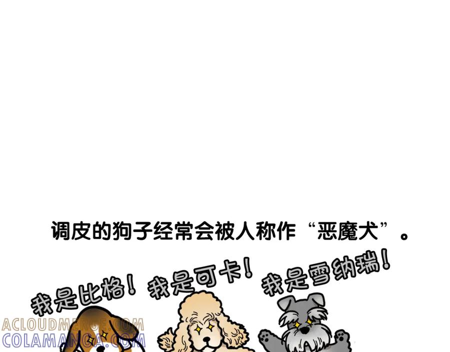 《我的狗子叫棉花》第29话 猴子期的狗很丑？ 第49页