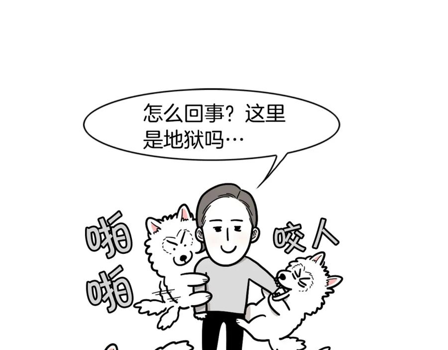 《我的狗子叫棉花》第29话 猴子期的狗很丑？ 第38页